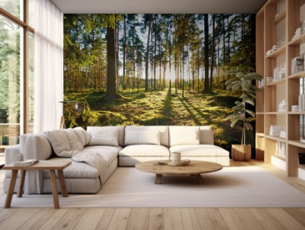 Sunrise in pine forest photowallpaper Scandiwall