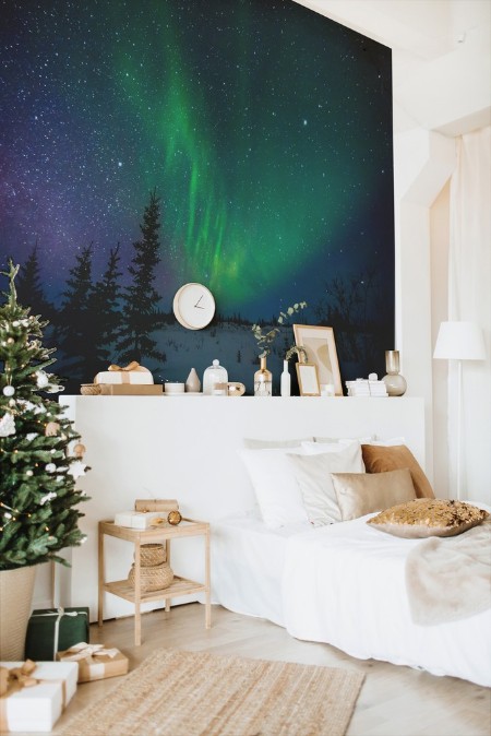 Aurora Borealis photowallpaper Scandiwall