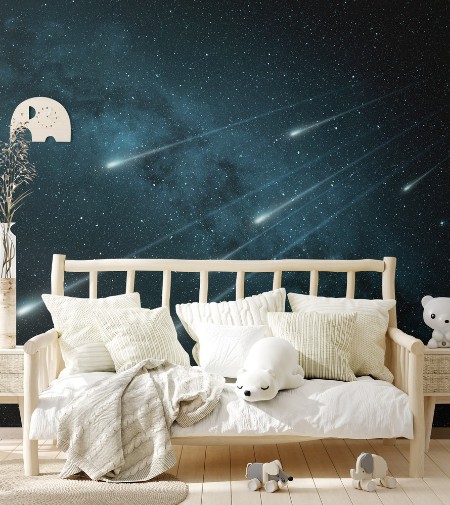 Meteor Shower in the Starry Night Sky photowallpaper Scandiwall