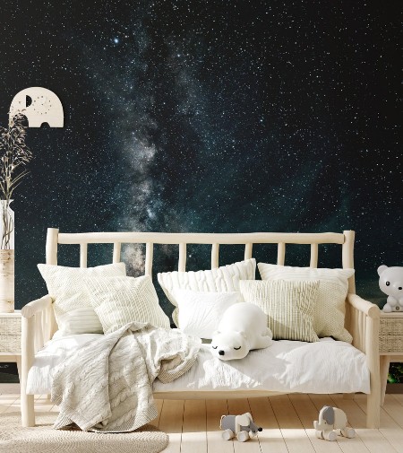 Starry sky in Odaigahara, Nara Prefecture photowallpaper Scandiwall