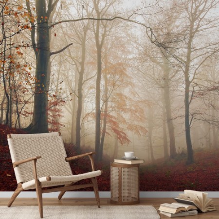 Waiting for the deer. photowallpaper Scandiwall