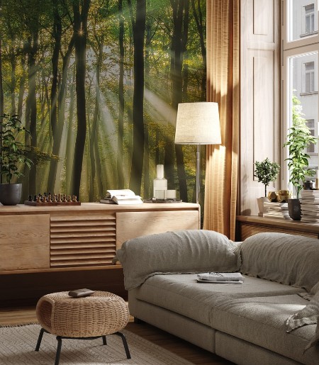 Sunny start to the day photowallpaper Scandiwall