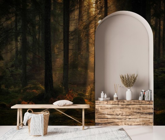 The light in the forest photowallpaper Scandiwall