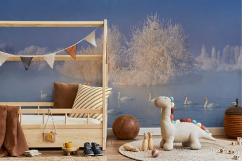 Swan lake photowallpaper Scandiwall