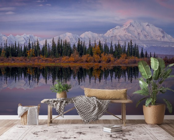 Denali Reflection photowallpaper Scandiwall