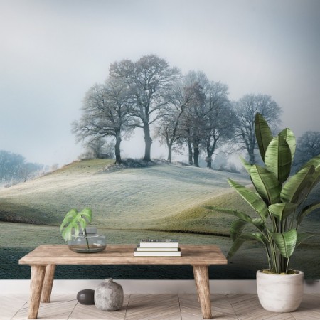 It is not in tuscany photowallpaper Scandiwall