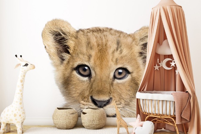 Baby Lion photowallpaper Scandiwall