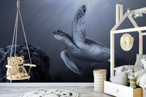 On the reef photowallpaper Scandiwall