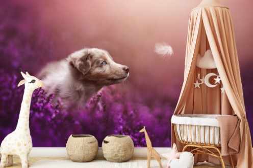 Puppy magic photowallpaper Scandiwall