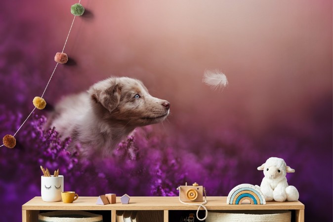 Puppy magic photowallpaper Scandiwall