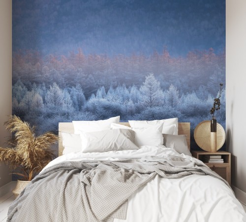 Autumn and Winter gradients photowallpaper Scandiwall