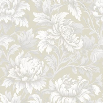 Image de Stella Beige - 1000603-02