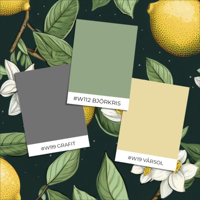 Picture of Clara Black - 1016202-03