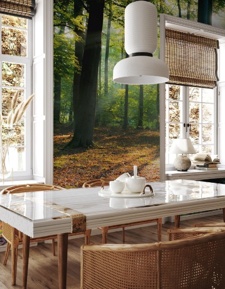 Morning in the forest photowallpaper Scandiwall