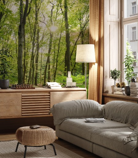 Morning in sunny forest photowallpaper Scandiwall