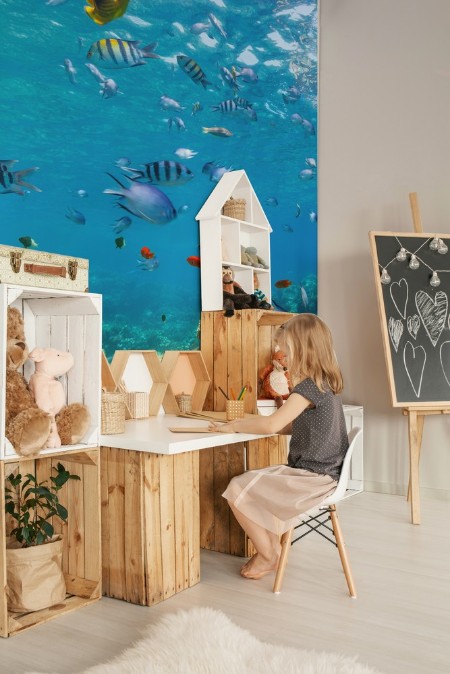 Coral reef and tropical fish in Red Sea photowallpaper Scandiwall