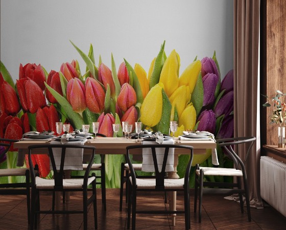 Fresh spring tulips water drops Flower border photowallpaper Scandiwall