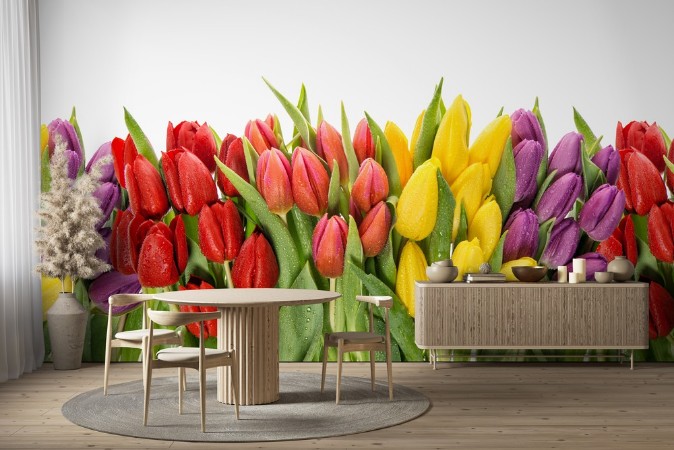 Fresh spring tulips water drops Flower border photowallpaper Scandiwall