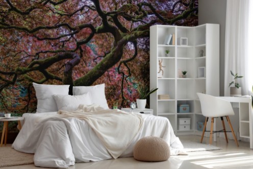 Japanese Maple Tree photowallpaper Scandiwall