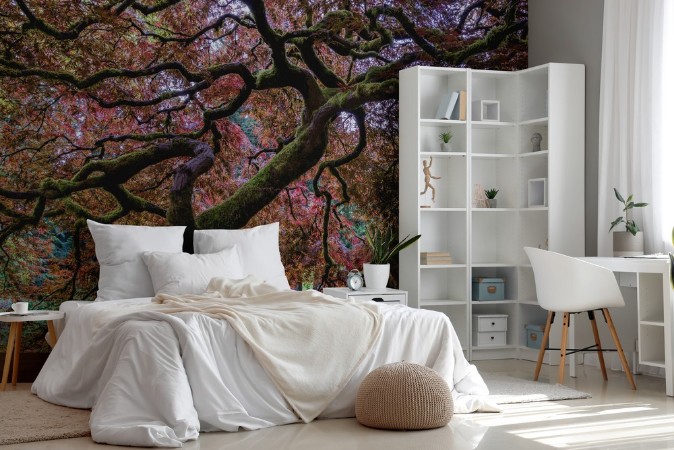 Japanese Maple Tree photowallpaper Scandiwall