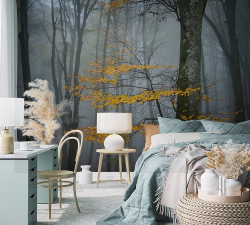 Beech Forest in Autumn photowallpaper Scandiwall