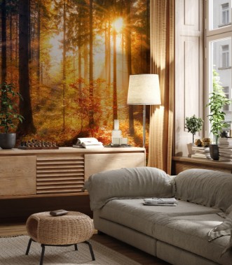 Sonnendurchfluteter Herbstwald photowallpaper Scandiwall
