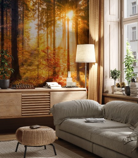 Sonnendurchfluteter Herbstwald photowallpaper Scandiwall
