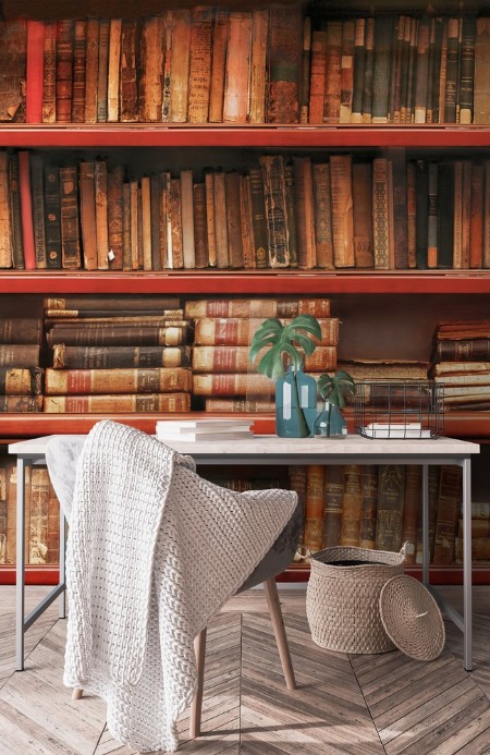 Old books on a Bookshelf photowallpaper Scandiwall