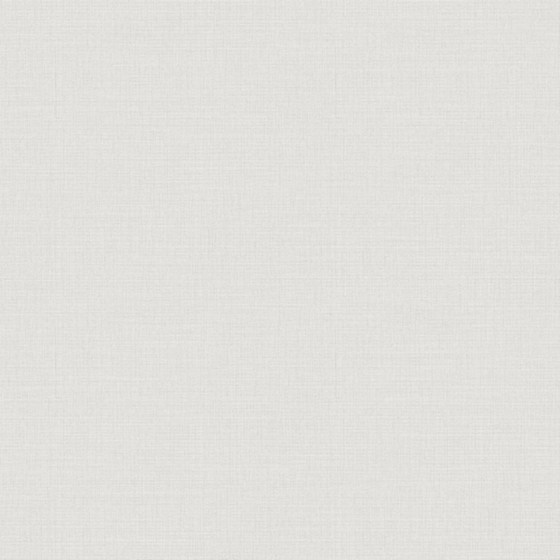 Picture of Raw Silk - 4568-OUTLET