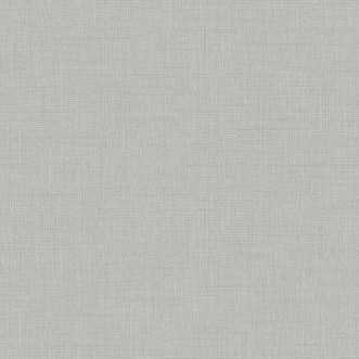 Picture of Raw Silk - 4567-OUTLET