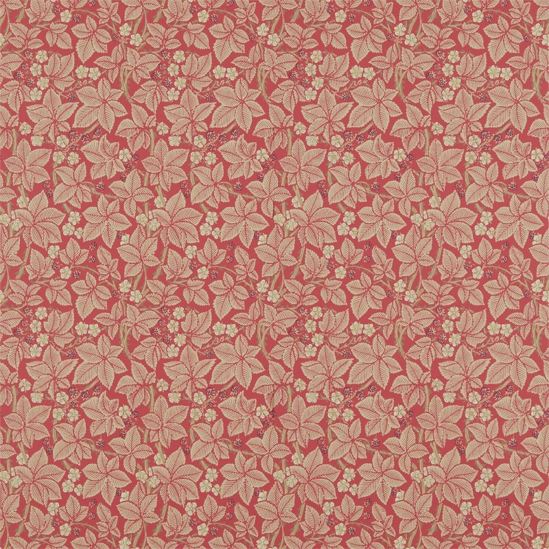 Picture of Bramble Red - DM3W214697-OUTLET