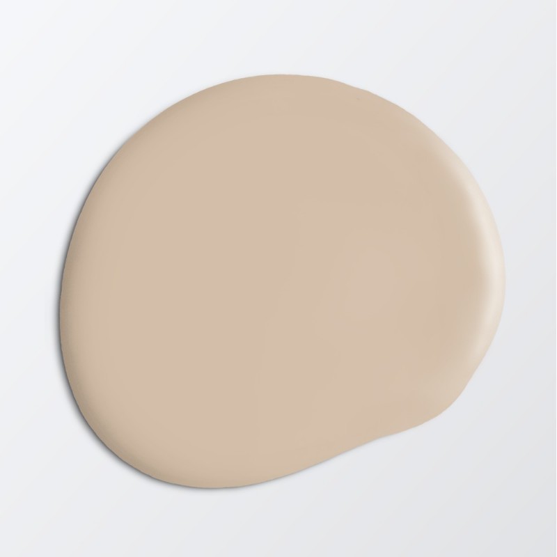 Swatchkit Trend 2024 paint 