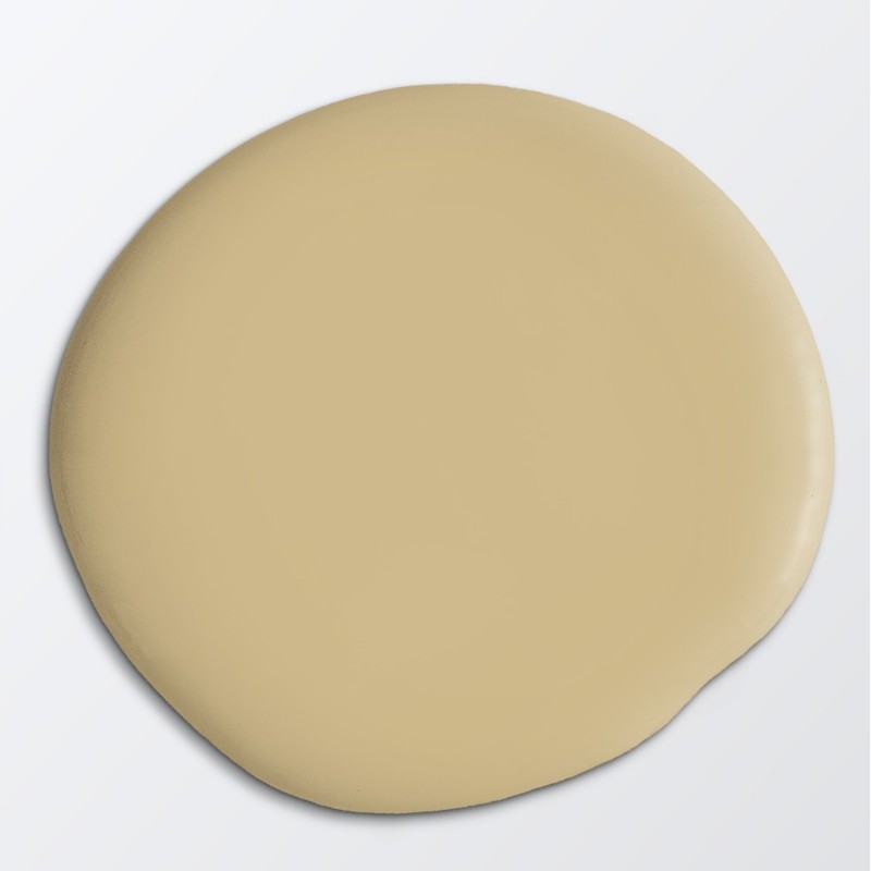 Swatchkit Trend 2024 paint 