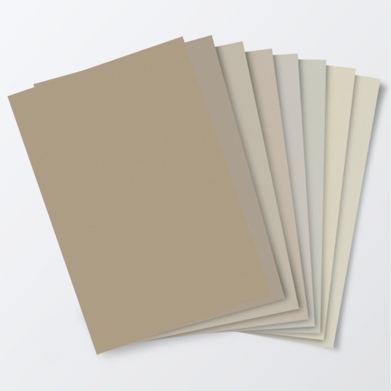 Swatchkit Beige colour scale paint 