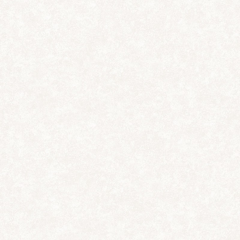 Fiona Home Paper - 100101 wallpaper 