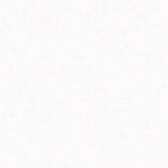 Fiona Home Paper - 100301 wallpaper Fiona