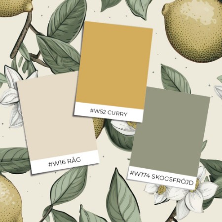 Coloring - Clara Cream White - 1016202-01 - 04241-01 paint 