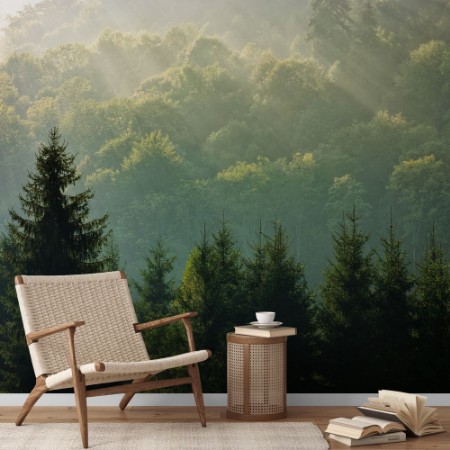 Spruce forest on foggy sunrise in mountains photowallpaper Scandiwall