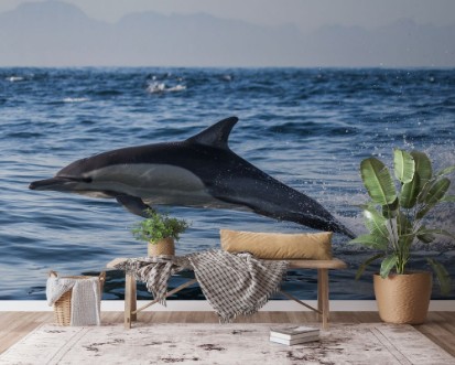 Dolphins jump out at high speed out of the water South Africa False Bay photowallpaper Scandiwall