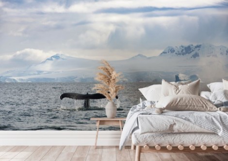 Whale on Ice photowallpaper Scandiwall