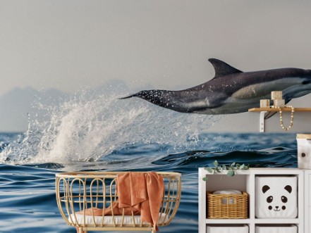 Flying through photowallpaper Scandiwall