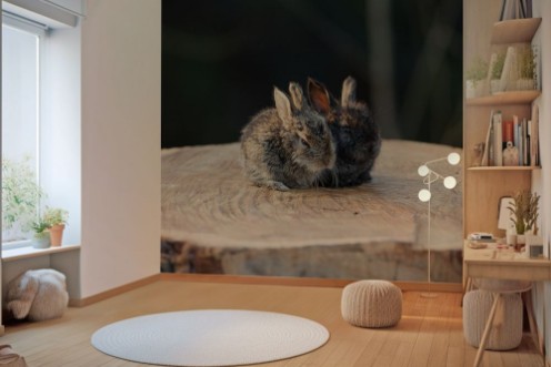 Rabbit on a stump photowallpaper Scandiwall