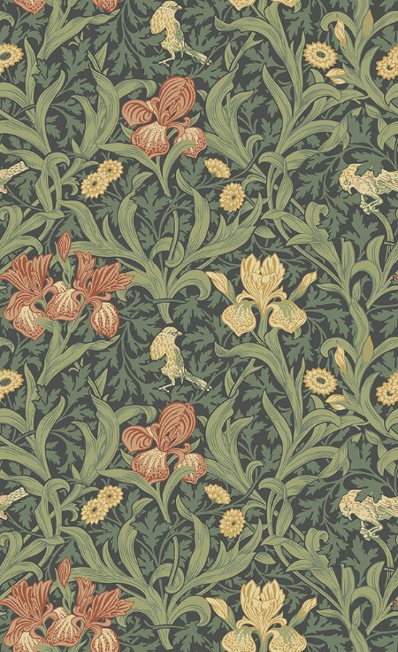 Iris - 82051 wallpaper Midbec