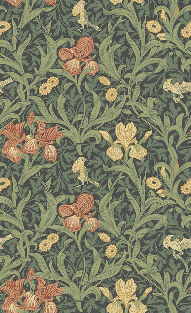 Iris - 82051 wallpaper Midbec