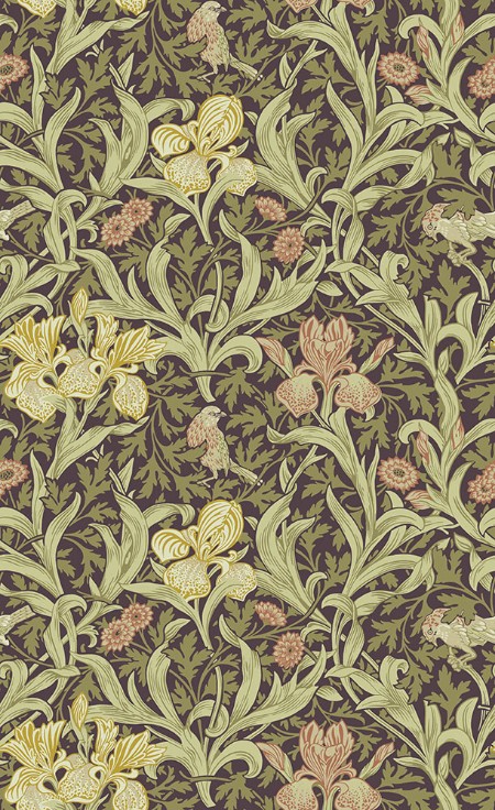 Iris - 82052 wallpaper Midbec