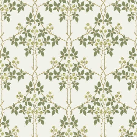 Blackberry - 82053 wallpaper Midbec