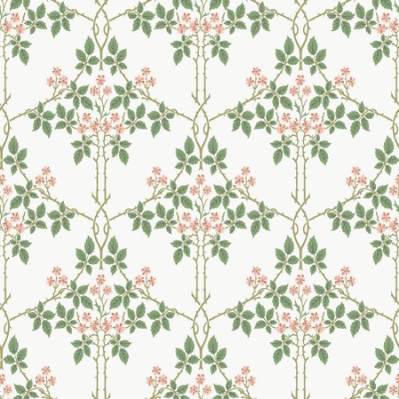 Blackberry - 82054 wallpaper Midbec