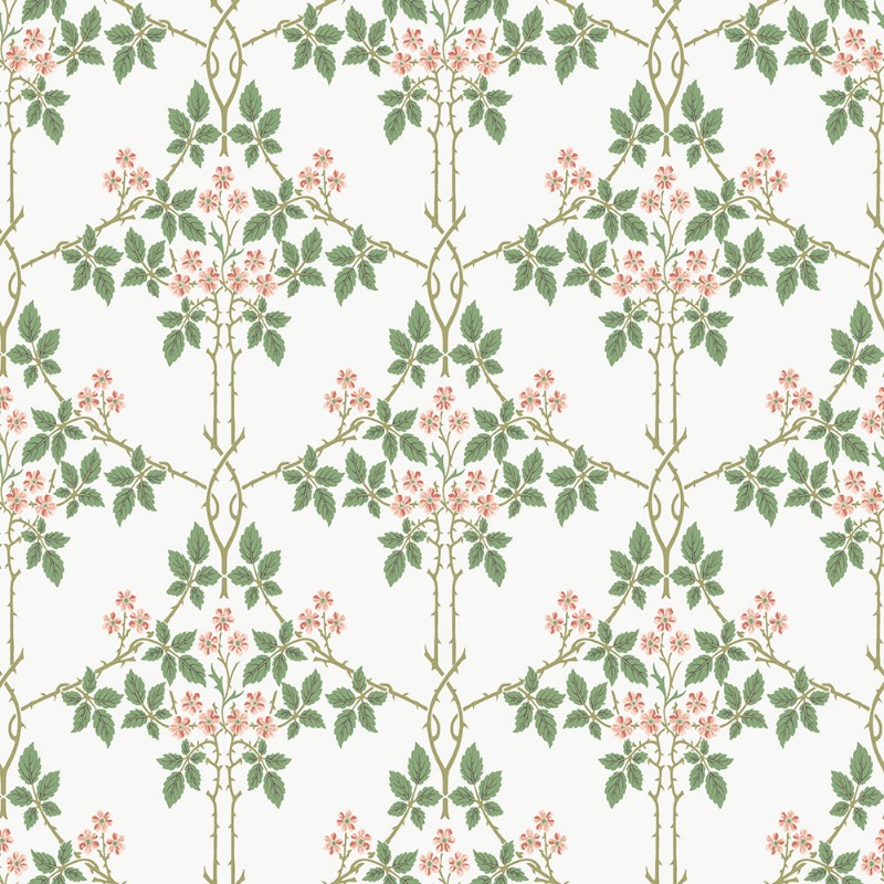 Blackberry - 82054 wallpaper Midbec