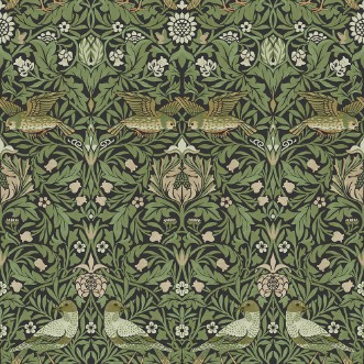 Bird - 82063 wallpaper Midbec