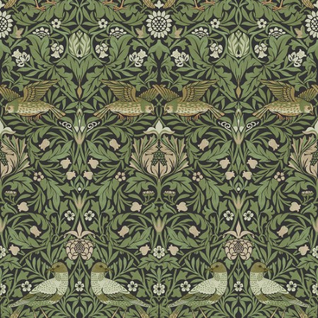 Bird - 82063 wallpaper Midbec